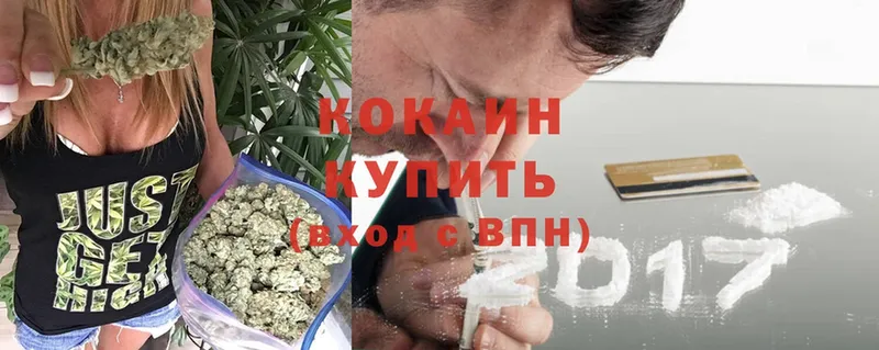 Cocaine FishScale  ОМГ ОМГ вход  Новодвинск 